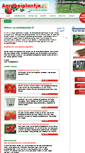 Mobile Screenshot of aardbeiplantje.nl